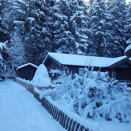 קלאוסטל-צלרפלד Waldsee-Ferienhaus-Mit-Kamin-W-Lan מראה חיצוני תמונה