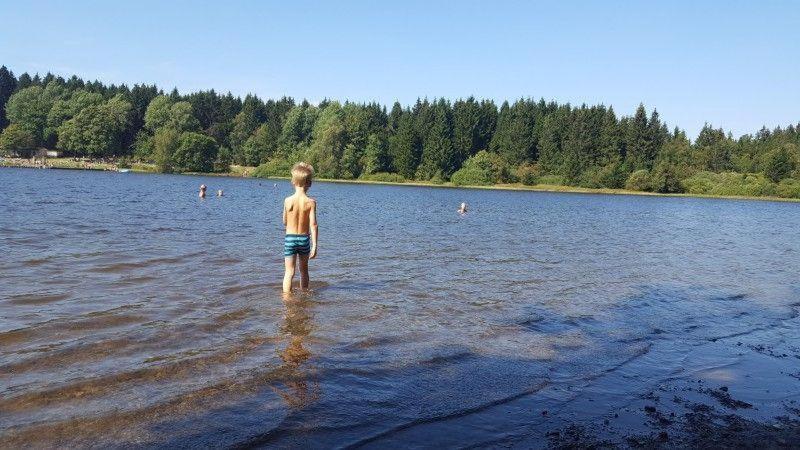 קלאוסטל-צלרפלד Waldsee-Ferienhaus-Mit-Kamin-W-Lan מראה חיצוני תמונה
