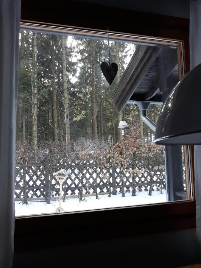 קלאוסטל-צלרפלד Waldsee-Ferienhaus-Mit-Kamin-W-Lan מראה חיצוני תמונה