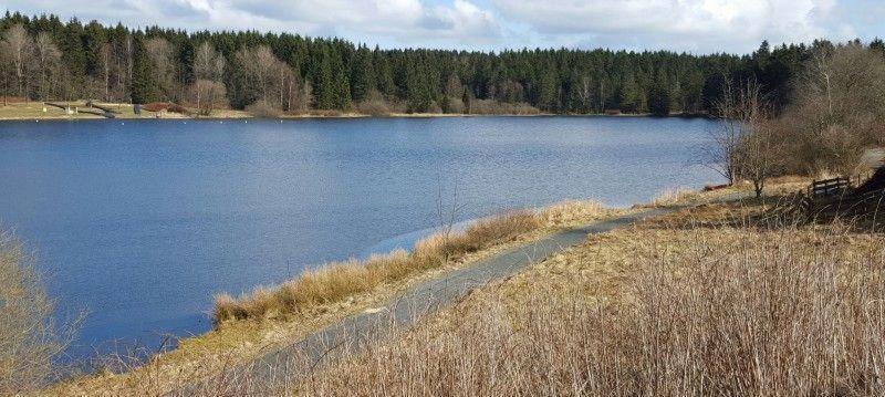 קלאוסטל-צלרפלד Waldsee-Ferienhaus-Mit-Kamin-W-Lan מראה חיצוני תמונה