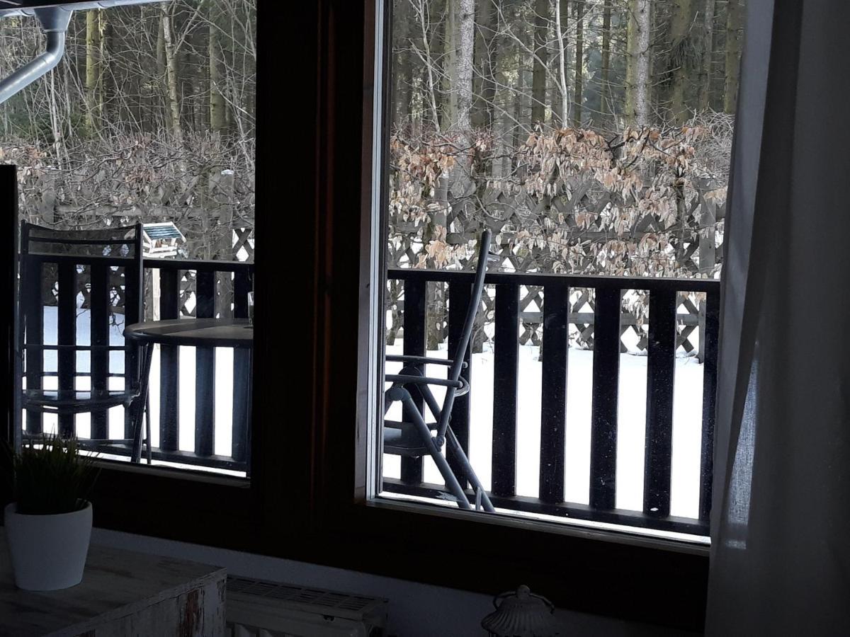 קלאוסטל-צלרפלד Waldsee-Ferienhaus-Mit-Kamin-W-Lan מראה חיצוני תמונה